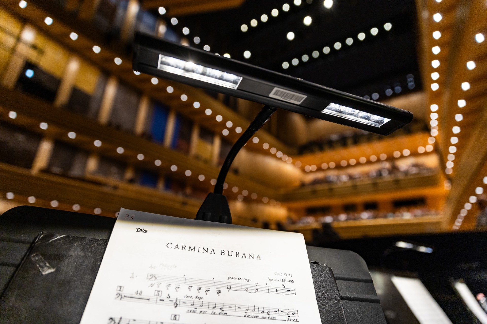Carmina Burana 25